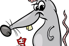 Kinų zodiakas - Žiurkė